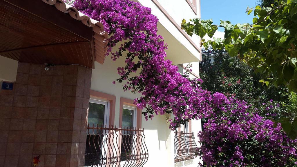 Seda Hotell